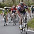 Frank Schleck whrend der dritten Etappe der Vuelta al Pais Vasco 2009